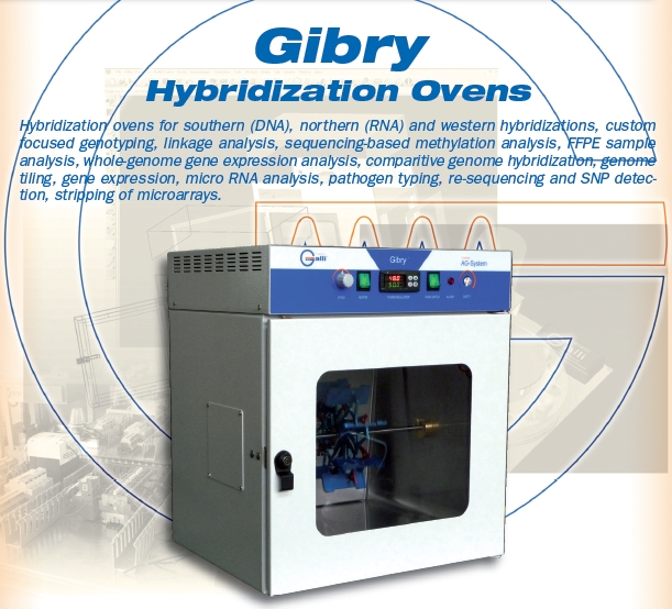 Galli-Oven, Gibry Stufa, Forno per ibridizzazione, Hybridization Ovens