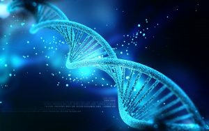 Galli-DNA-Microarray-Scanner-hybridization-Ovens